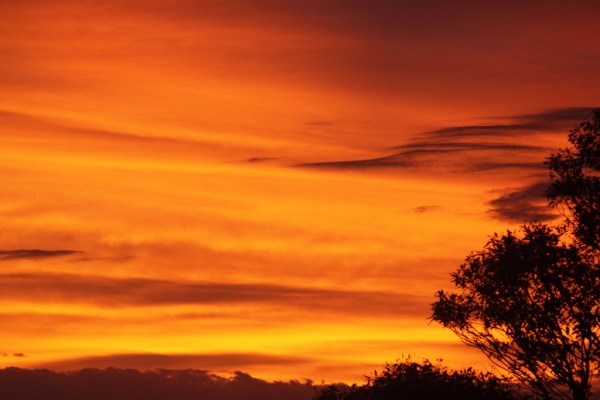 Sunset on our farm, NSW, Australia