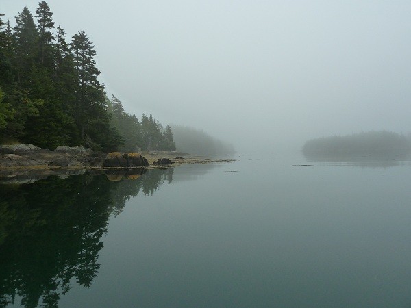 Reflections in the fog, Roque Island area, Maine, USA