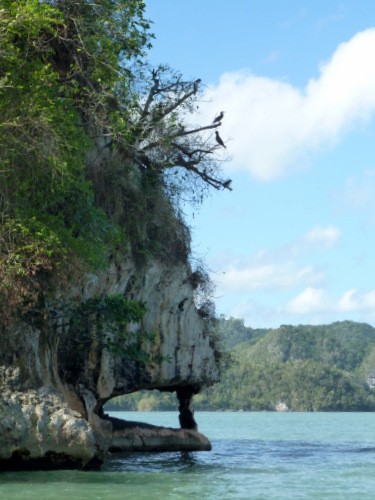 Interesting erosion of the limestone cliffs