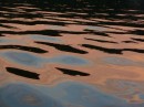 Water reflection at The Basin, Maine, USA