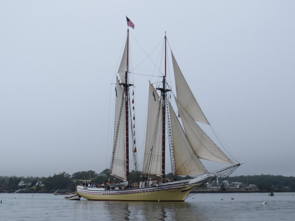 The Heritage windjammer entering Boothbay Harbor, Maine, USA