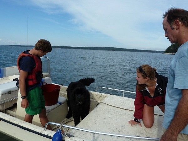 Two college kids visiting with their Newfoundland dog, Maine, USA