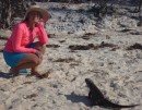 The iguanas are very curious