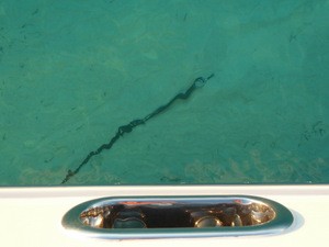 This shows how clear the water is in the Exumas as this is our anchor.