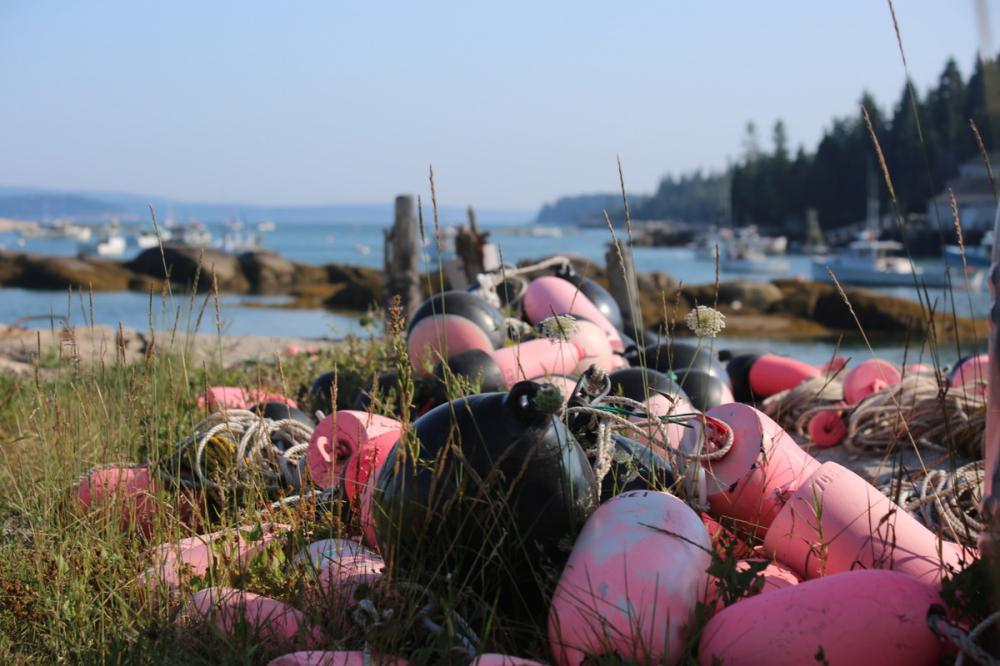 Lobster buoys brighten the day at Stonington, Deer Isle, Maine, USA
