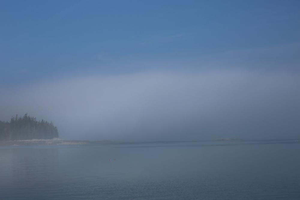 Fog bank in the Deer Isle Thorofare, Deer Isle, Maine, USA