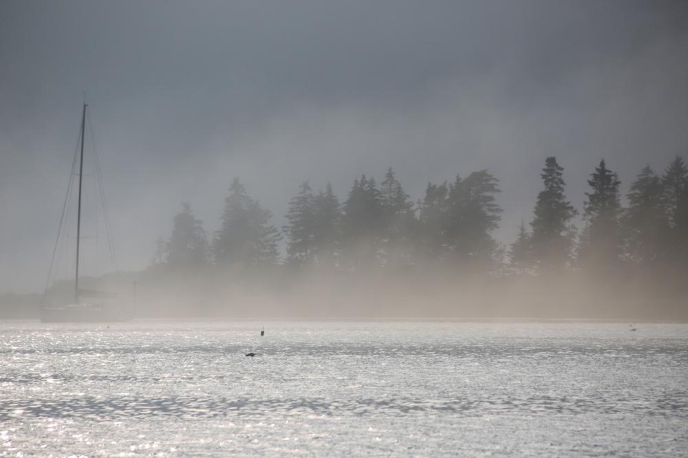 Fog descending at 5pm on Green Island in Ebenecook Harbour near Boothbay, Maine, USA