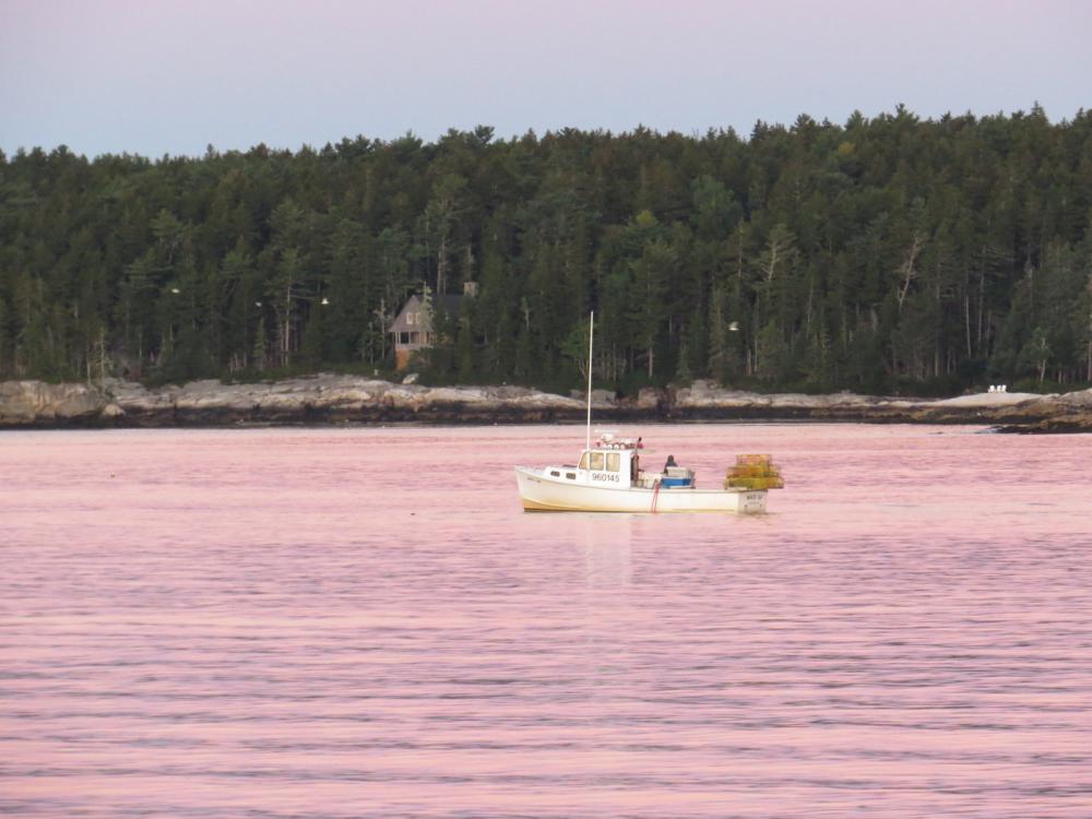 Lobster boat heading out to check his traps, Sheepscot River, Maine, USA