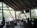 river bar in the jungle