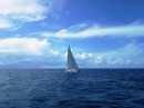Picaro sailing