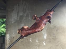 Roasted piglet waiting to be eaten for lunch