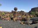 There are volcanic rock sculptures among the plants