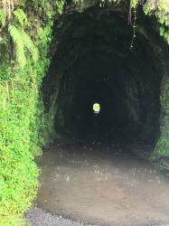 The French army dug this tunnel
