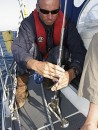 Graham tightening the aft shroud to keep the mast upright