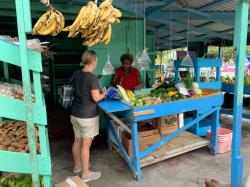 Kate provisioning in Bequia