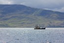 Sailing up to Loch Fyne.