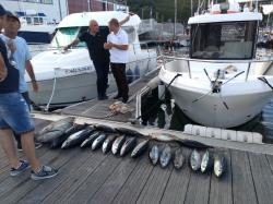 The Tuna Catch: Sports fishermen returning to the marina