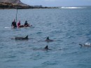 Pokai Bay had dolphins galore: Nathan got some underwater footage as well although he said it was tough for even him, the HE MAN, to keep up with cruising dolphins.