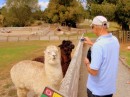 Our sheep world experience started with a stroll through the "barnyard" and the opportunity for some "up close and personal" photos. Here
