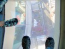 Looking down through the windows in the observation deck floor.