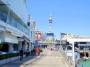 The Auckland Sky Tower - the tallest structurfe in New Zealand - is a dominant feature of the city skyline, seen here from the waterfront.