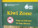 We never did see a Kiwi (maybe the dogs got there first!)