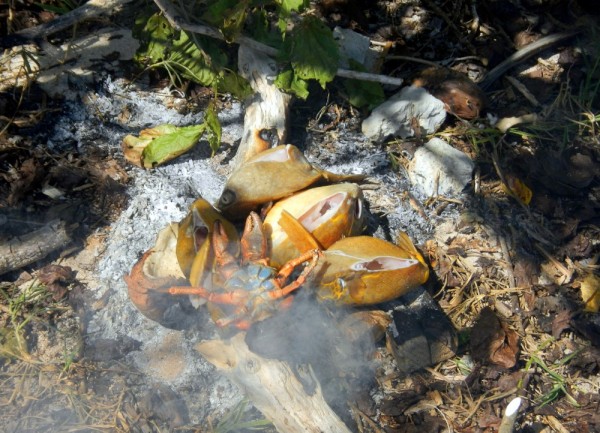 Box fish and coconut crab cooking on the coals.