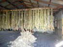 Pandamus drying for weaving.