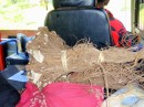 Yanqona - kava root - and other bundles bound for market begin to pile up behind the bus driver as we make our way to Labasa.