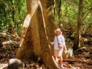 An interesting tree root, on the hike to Vaipo Falls on Nuku Hiva, Marquesas.