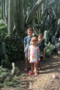 One of the huge cactii in the Washington park