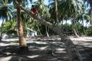 Ishdhoo: Preparation for living wild in Chagos 