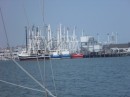 coming into South Jersey Marina...we can see the shrimpers where we are docked around that corner.