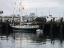 Greenpeace "roughing it" in Provincetown