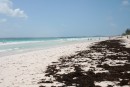 Pink sand beach, Harbour Island, Bahamas