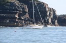 Seabird passing Shipstern Island