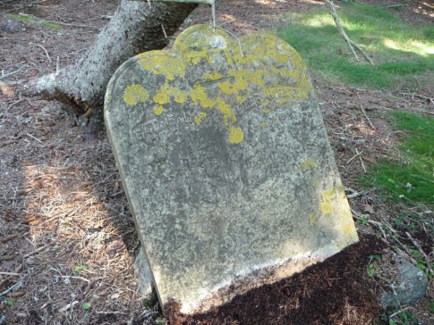 Grave stone, McGlatherties Island.