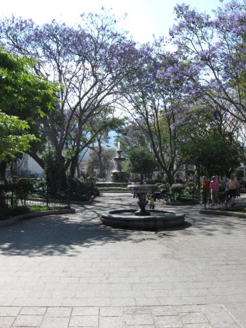 Town Plaza