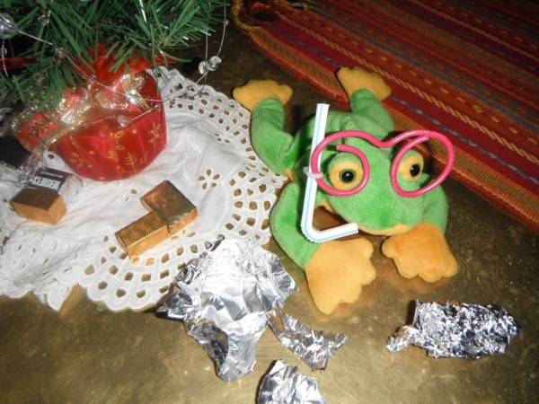 Ribbit gets snorkel gear for Christmas