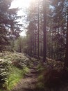 Highlands Boundary Trail