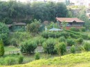 Beautiful Eregli gardens