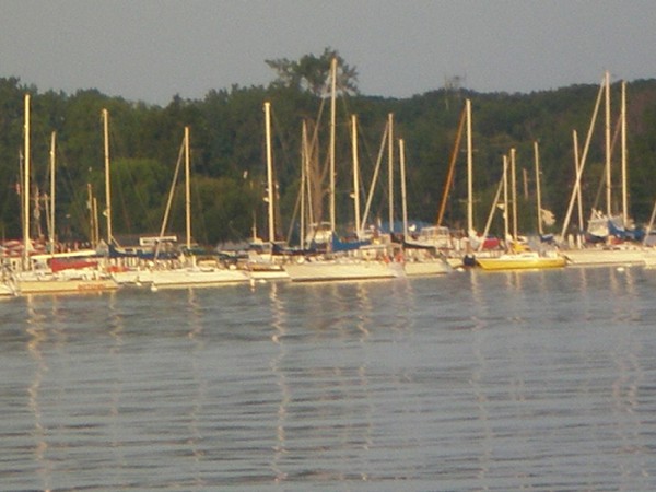 Boats at the moorings in Put-in-Bay