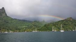 Leaving Cooks Bay, trying to beat the rain and rainbow.  We did...