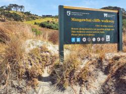 Mangawhai Cliff trail