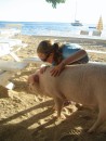 Friend Hannah loved the pig.