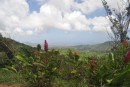View from a hike in Grenada.