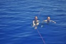 Swimming in the deep blue sea - moving along at 4.5 knots with the gulf stream!