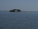 One of many typical islands on the Indian River