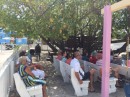 Catholic church services under the fig tree in Hope Town - Elbow Cay