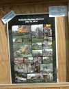 These images show how devastating the fire was.